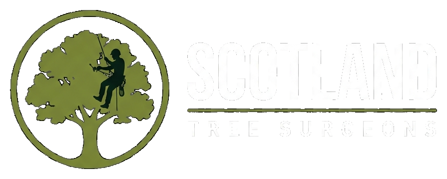 Scotland Tree Surgeons